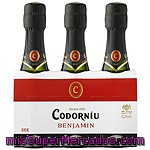 Codorniu Benjamín Cava Seco Pack 3x20 Cl Estuche 60 Cl