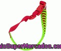 Collar De Nylon Delta Para Perro Pequeño Arppe 1 Unidad