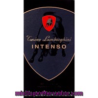 Colonia Para Hombre Int. T. Lamborghini, Frasco 100 Ml