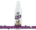 Colonia Para Perro En Vaporizador Mister Dog 250 Mililitros