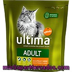 Comida Gato Croqueta Pollo Arroz Ultima, Affinity, Paquete 800 G