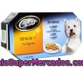 Comida Húmeda Para Perros Senior, Mayores De 10 Años. Surtido De Cordero Con Guisantes, Pollo Con Arroz En Suave Gelatina, Buey Con Verduras Y Ternera Con Arroz César 4 Tarrinas De 150 Gramos