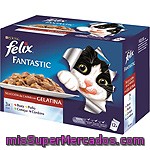 Comida Para Gato Cane En Gelatina Felix Pack 12x100 Gr.