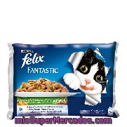Comida Para Gatos Fantasic Con Carne Felix Pack 12x100 Gr.