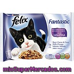 Comida Para Gatos Fantasic Selección Felix Pack 4x100 Gr.