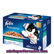 Comida Para Gatos Fantastic Selección De Pescado Felix 12x100 G.