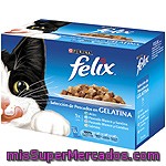 Comida Para Gatos Pescado Felix Pack 12x100 Gr.