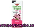 Complemento Alimenticio A Base De Equinacea Própolis Y Vitamina C Con Sabor Cereza, Ceregumil Equinacea Pekes 150cc