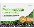 Complemento Alimenticio Que Ayuda Al Equilibrio Intestinal Aquilea Probio Max 10 Càpsulas