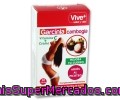 Complemento Nutricional A Base De Garcinia Cambogia Vive Plus 30 Cápsulas 15,30 Gramos