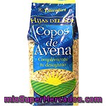 Copos De Avena Bolsa Naturtierra 500 G.