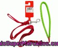 Correa Nylon Delta Arppe 1 Unidad