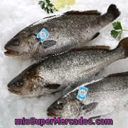 Corvina 1000.0 G. Aprox - Entero