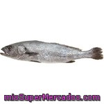 Corvina Nacional Peso Aproximado Pieza 1,3 Kg - A La Sal