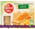 Crackers Ecológicos Multicereales Céréal Bio 145 Gramos