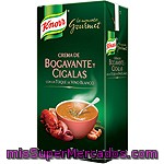 Crema De Bogavante Gourmet Knorr 500 Ml.