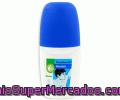 Desodorante Roll-on Hombre Producto Económico Alcampo 50 Mililitros