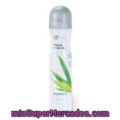 Desodorante Spray Piel Normal Te Verde (tapon Gris), Deliplus, Bote 200 Cc