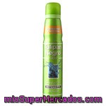 Desodorante Tulipán Negro, Spray 200 Ml