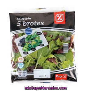 Dia Ensalada Selección 5 Brotes Bolsa 100 Gr