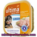 Dog Wet Junior Ultima, Tarrina 150 G