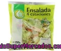 Ensalada 4 Estaciones Producto Económico Alcampo Bosla De 250 Gramos