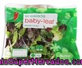 Ensalada Baby Leaf Auchan Bolsa De 70 Gramos