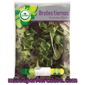 Ensalada
            Condis Brotes Tiernos 100 Grs