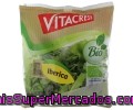 Ensalada Ibérica Ecológica Vitacress Bolsa De 100 Gramos