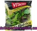 Ensalada Ibérica Vitacress 100 Gramos