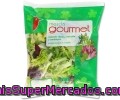 Ensalada Mezcla Gourmet Auchan Bolsa De 175 Gramos