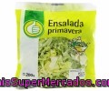 Ensalada Primavera Producto Económico Alcampo Bolsa De 200 Gramos