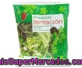 Ensalada Tentación Auchan Bolsa De 125 Gramos