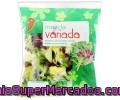 Ensalada Variada (escarola Lisa, Escarola Rizada Y Radicchio) Auchan Bolsa De 200 Gramos