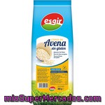 Esgir Copos De Avena Sin Gluten Bolsa 450 G