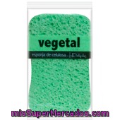 Esponja Baño Vegetal Suave Pieles Sensibles Celulosa, Deliplus, U