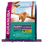Eukanuba Puppy Alimento Específico Para Cachorros De Raza Toy Con Pollo Bolsa 800 G