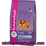 Eukanuba Puppy Large Breed Alimento Completo Para Cachorros De Raza Grande Bolsa 12 Kg