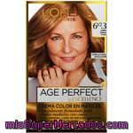 Excellence Age Perfect Tinte Castaño Clarísimo Dorado Nº 6 1/2.3 Crema Color En Matices Caja 1 Unidad