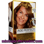 Excellence Age Perfect Tinte Castaño Muy Frio Dorado Nº 6.13 Crema Color En Matices Caja 1 Unidad Para Cabellos Maduros Y Con Canas