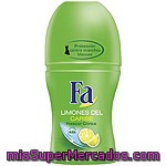 Fa Desodorante Roll-on Fresh Limones Del Caribe Envase 50 Ml