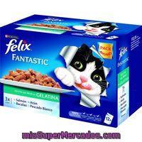 Fantastic De Pescado Félix, Pack 12x100 G