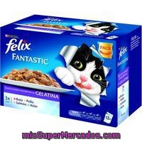 Fantastic Selección De Carne-pescado Félix, Pack 12x100 G