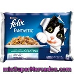 Felix Fantastic Festín Del Mar En Gelatina Para Gatos Pack 4 Unidades Sobre 100 G