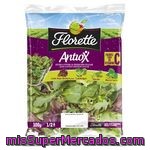 Florette Ensalada Antiox Cuídatte 100g