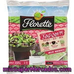 Florette Ensalada Japón Con Vegetales, Salsa Y Queso Bolsa 155 G