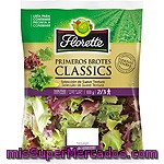 Florette Primeros Brotes Classics 100g