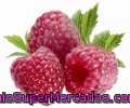 Frambuesa Fruta Tarrina 125 Gramos