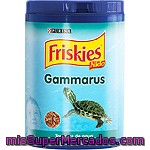 Friskies Alimento Para Tortugas 60g
