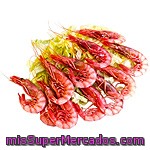 Gambas Rojas Cocidas 100-120 Piezas/kg